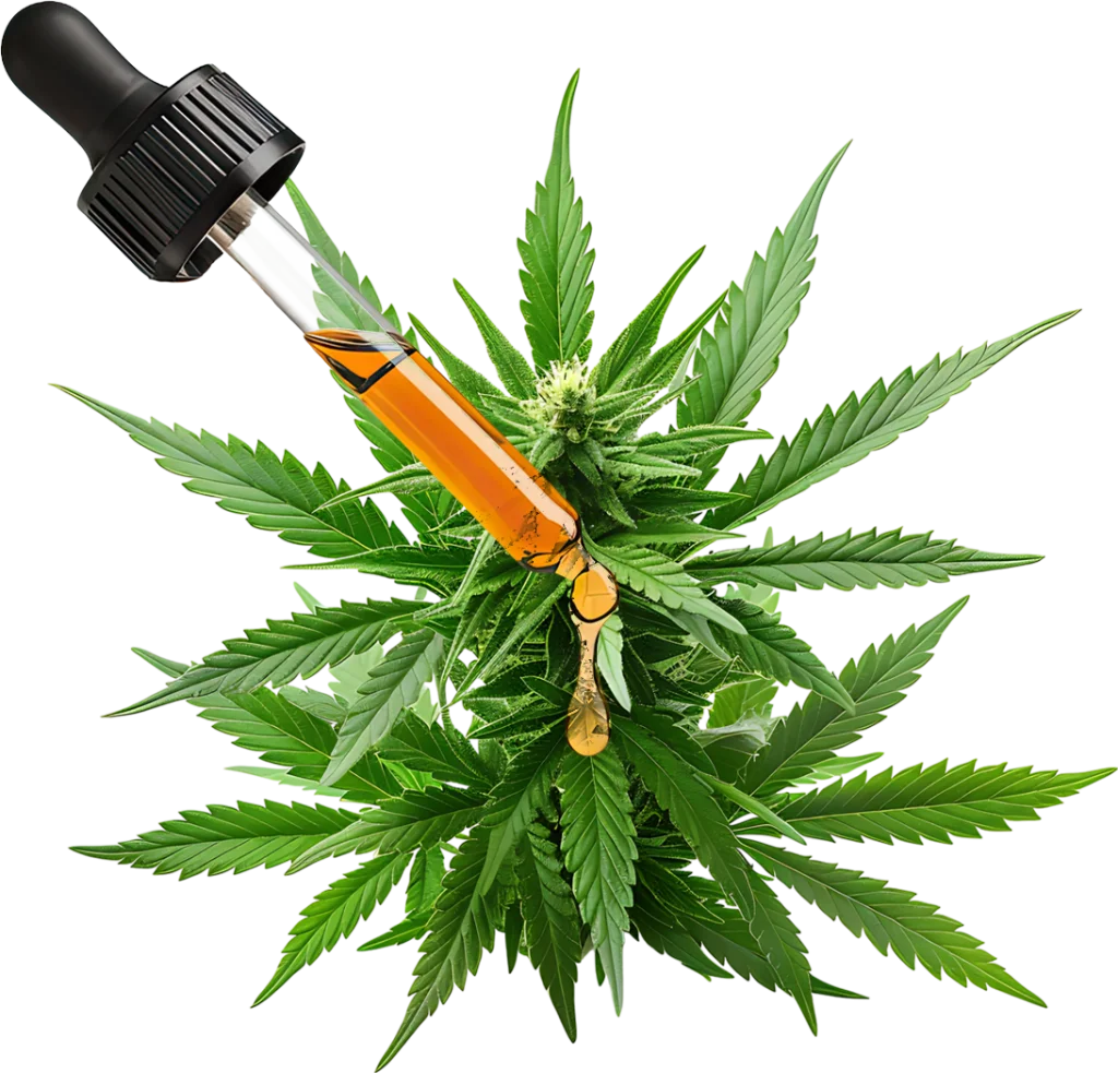 Óleo medicinal com extrato de cannabis